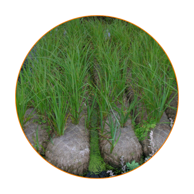 Pre-Grown Coir Logs usage